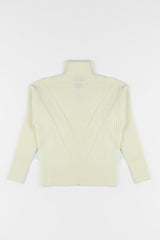 Chunky Ribbed Turtleneck Sweater | Forever 21 Womens
