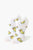 WHITE/MULTI